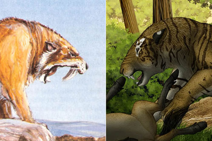 �ֽ��ݻ����гݻ���Michael Long�棩�ڲ������̶ȵĶԱ� �����ι�ͼ��