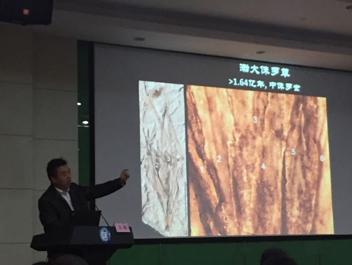 �����о�Ա�����ձ���