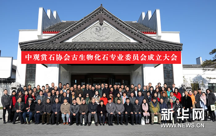 �й�����ʯЭ������ﻯʯרҵίԱ����ʽ����