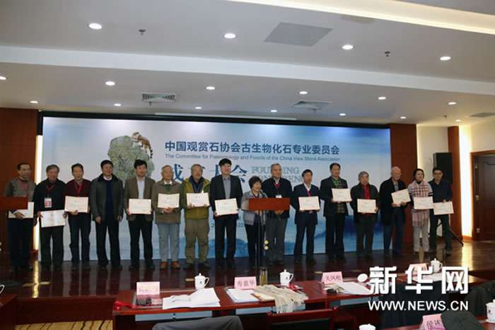 �й�����ʯЭ������ﻯʯרҵίԱ����ʽ����