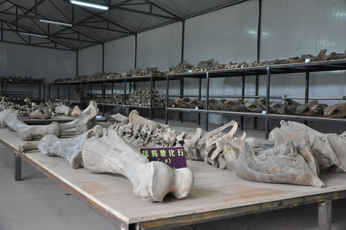 ���й����������D�D��ԡ���ʯ��Դ���걨������Ȼ�Ų�