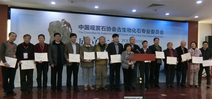 �й�����ʯЭ������ﻯʯרҵίԱ���������ھ��ٿ�