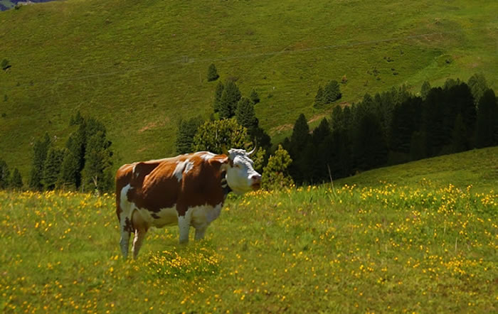 �������������Ի������Ʒ����ʷ���ٿ���׷�ݵ�9000��ǰ