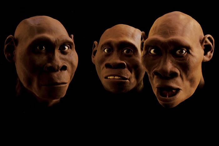 ��һ���߳����޵�ԭʼ�ˣ�׷�������������ִ���һ��ĸ�³���ǵ�������������