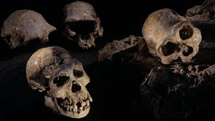 ��һ���߳����޵�ԭʼ�ˣ�׷�������������ִ���һ��ĸ�³���ǵ�������������