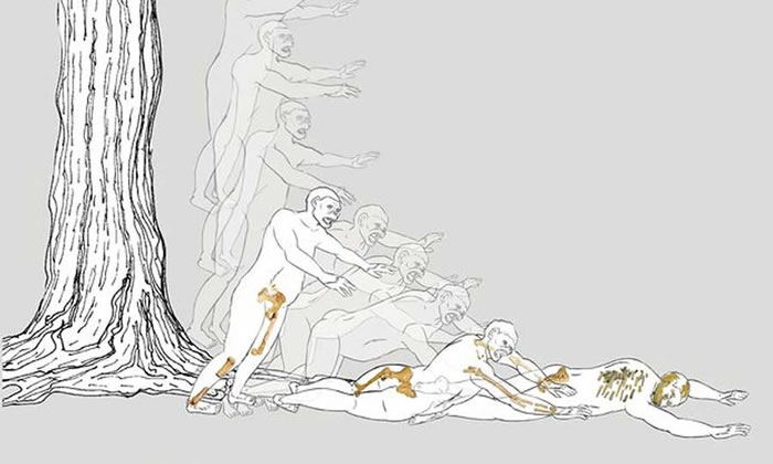 ���һ���о���Ϊ¶�����ܲ�С�Ĵ�һ�ø�����ˤ��������