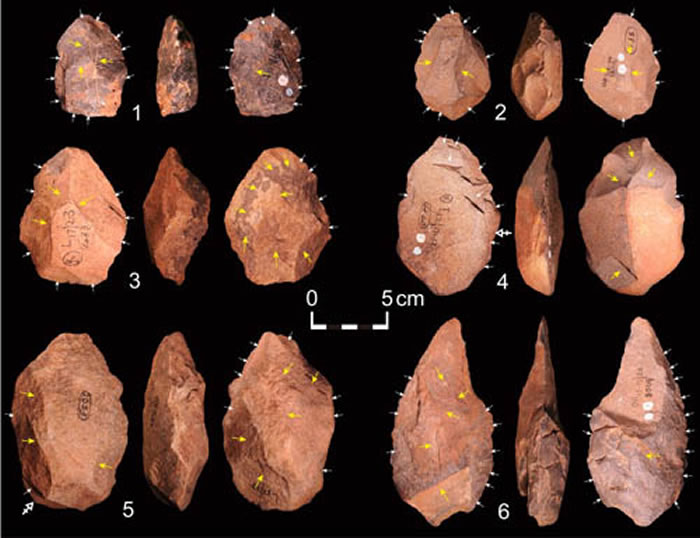 ���50�����Cave of Hearths��ַ�����Ĳ����ָ��걾&nbsp;����ƹ�ͼ��