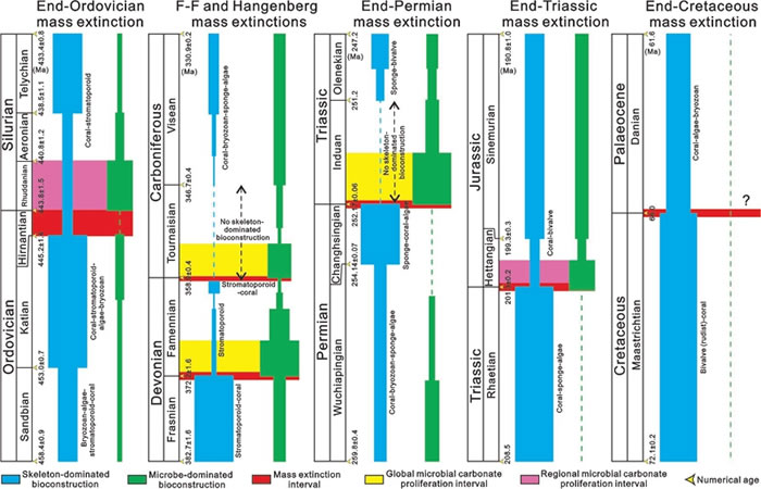 ������Hangenberg�͡���Ρ����������¼�ת���ڼ�Ǽ�����Ϊ����΢����Ϊ�������ｨ�����Է�ȱ仯ͼ