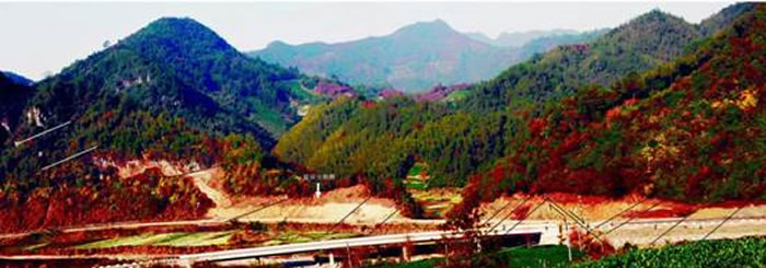 ������������Ⱥ��ʯ����