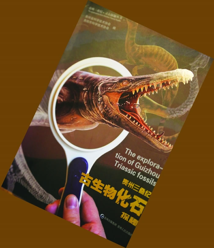 �����������͹����ﻯʯ̽�ء���ʾ2����ǰ�Ĺ��ݡ��������͹�����Ⱥ�����缶����