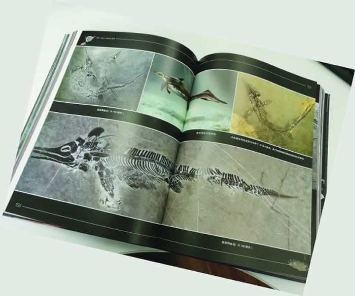 �����������͹����ﻯʯ̽�ء���ʾ2����ǰ�Ĺ��ݡ��������͹�����Ⱥ�����缶����