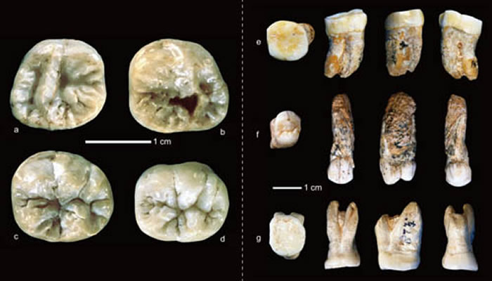 ���Ƕ���ַ���ֵĹ��������ݻ�ʯ�����乩ͼ��