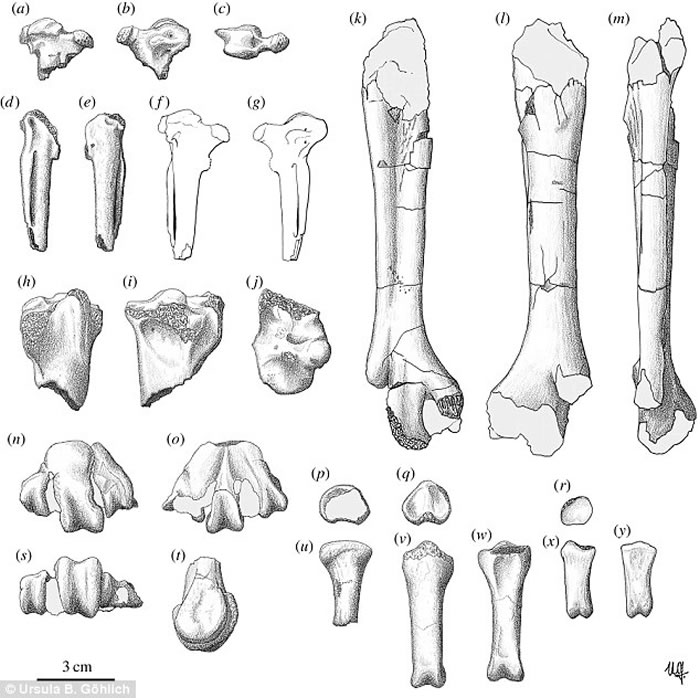 ���ֵ����������ֵ�������� ��������ǰ�����ڵ��к�