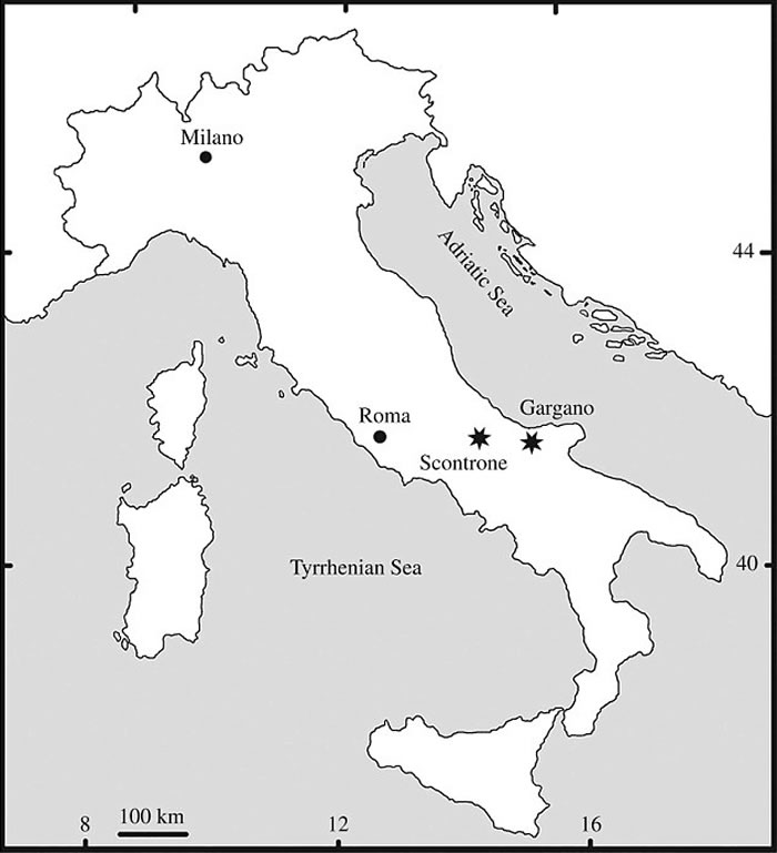 ���ֵ����������ֵ�������� ��������ǰ�����ڵ��к�