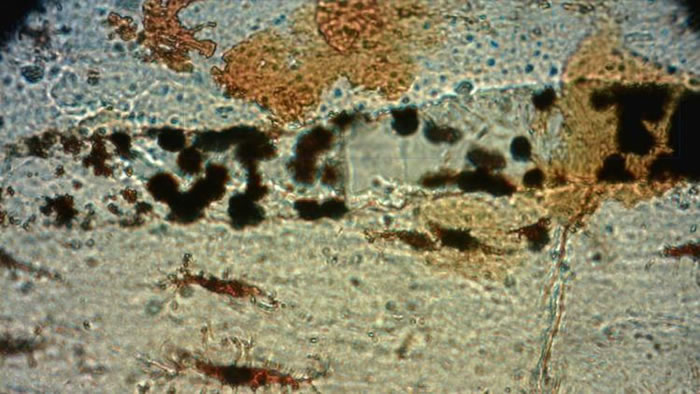 1.95ǰ٪»ʯзֱ潺ԭ֤