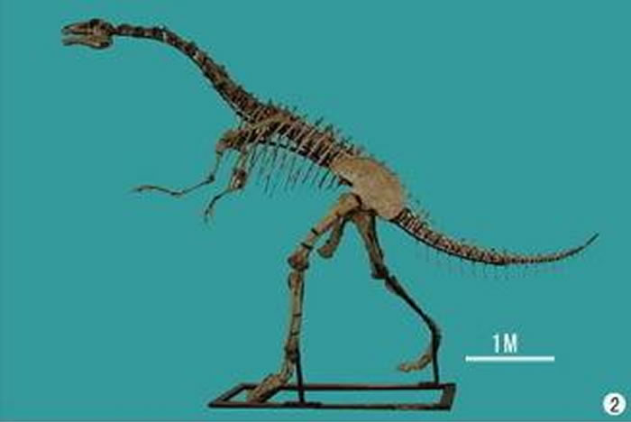 ʼ����̨�������أ���̨�����壬ʱ������������������ص㣺��̨����ݡ�