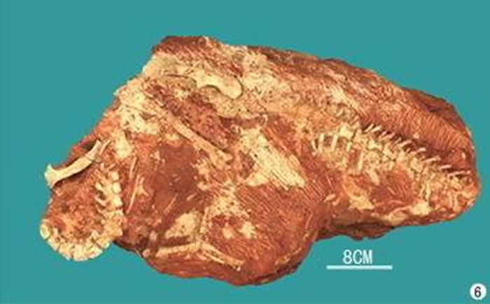 ��̨Խ�������أ���̨�������߹�·��ʱ������������������ص㣺�㽭��Ȼ����ݡ�