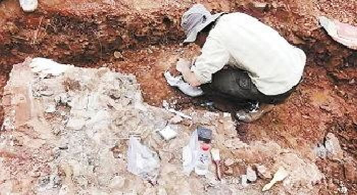 �ھ��ֳ�����ͼ