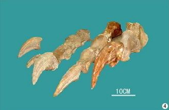 �㽭����̩�������أ����д���ɽ��ʱ������������������ص㣺�㽭��Ȼ����ݡ�