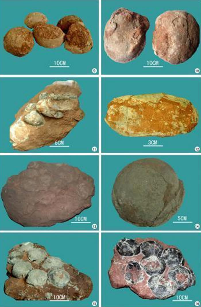 �������໯ʯ