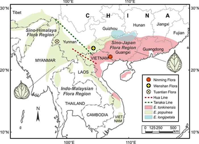 ��������ɵ��뻯ʯ��ķֲ����