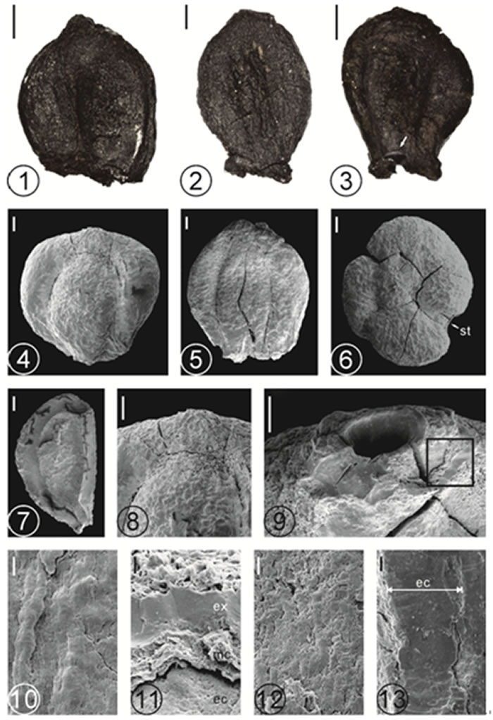 �������ɯ��ʵ