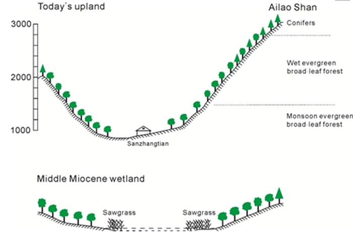 ����ɽ��´��������ʪ�ؾ������ִ�ɽ�ؾ��۵ĶԱ�