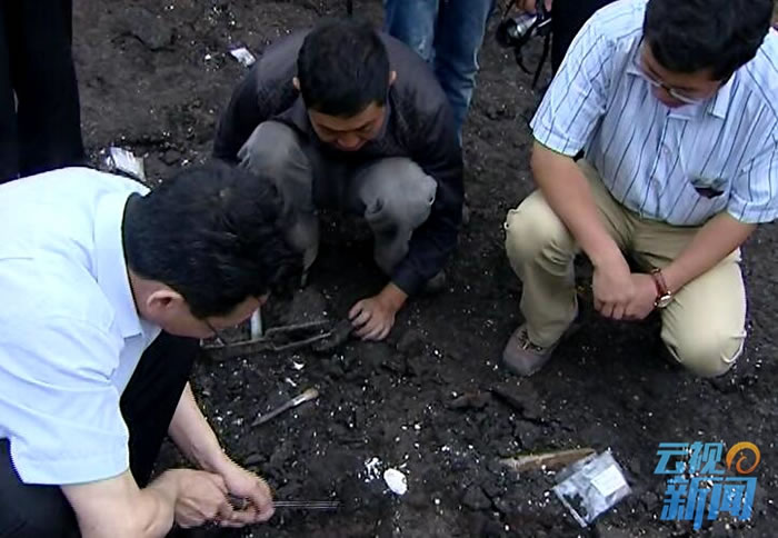 ��������ѧ�ҹ�ͬ�о�ȷ����������ͨ���־���ˮ̡���ֻ�ʯ�����̩��ˮ̡��