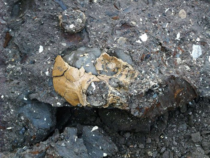 ��ͨ��Գͷ�ǳ���״̬