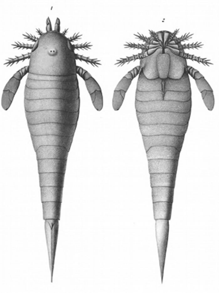 4.44����ǰ���������׸�ԭͼ