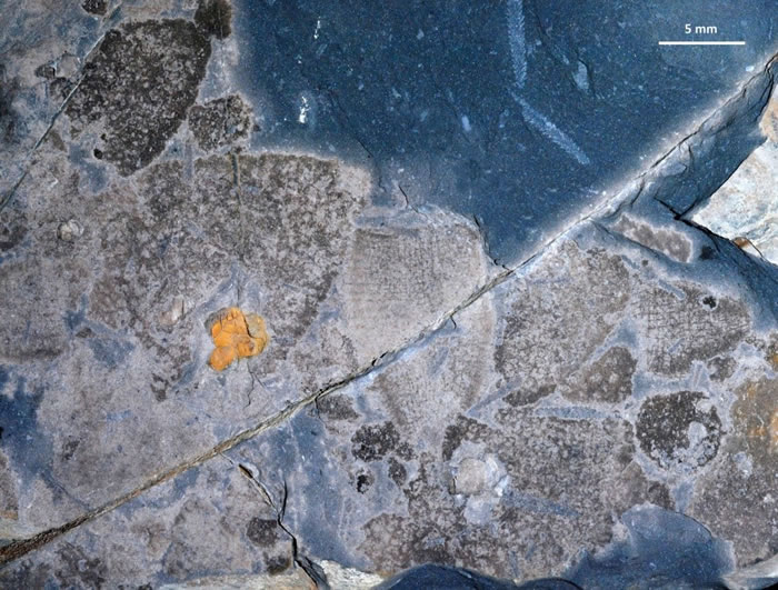 ۼʽصĺ壨ٰ7֣Ϸɫҳе2ʯΪʯ