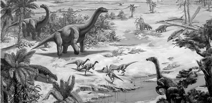 �㽭�����û�з������������ �ƽ�ǰ�����Ѿ�����Ǩ��