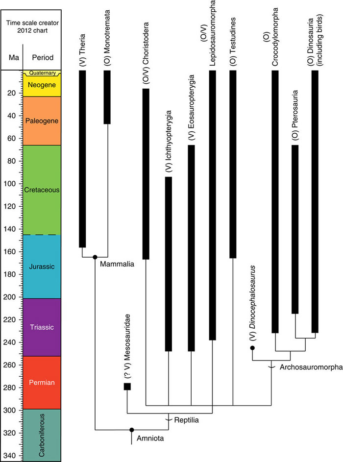 ���о�չʾ2.45����ǰ�������ж����ͷ����Ϊ̥���Ļ�ʯ֤��