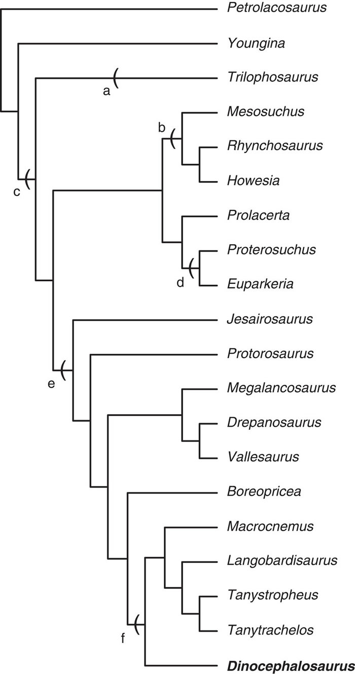 ���о�չʾ2.45����ǰ�������ж����ͷ����Ϊ̥���Ļ�ʯ֤��