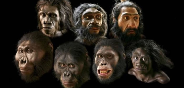 中国科学家公布古人类学研究新动态或证明人类祖先多地区起源