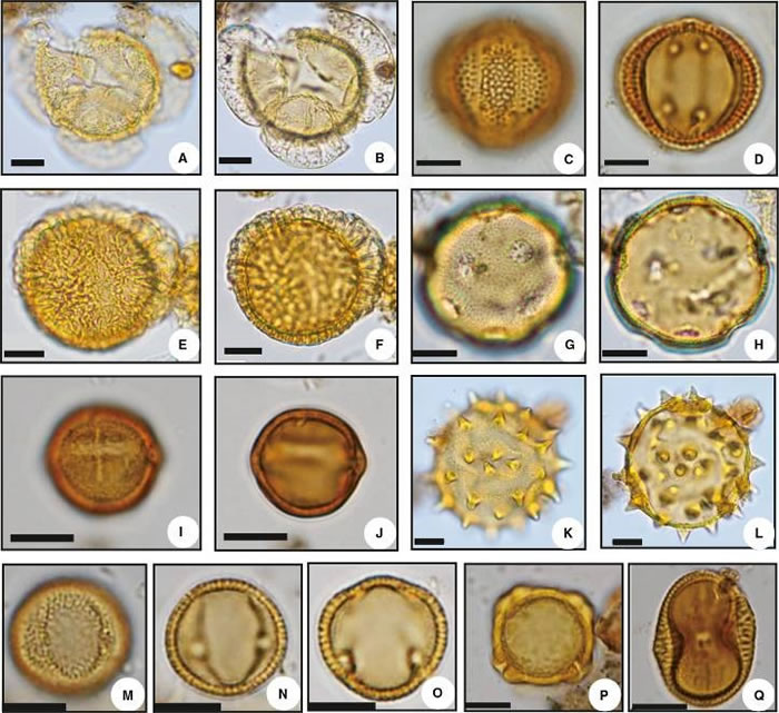 �����߷�����