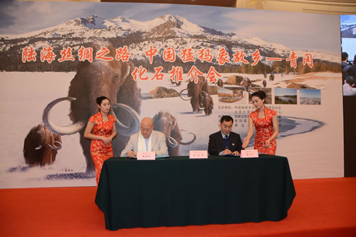 “中国猛犸象故乡发源地”青冈县德胜镇全力打造古生物化石旅游特色小镇