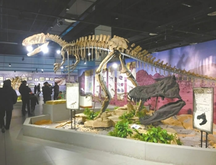 �Թ���������ݡ��ط�٪�޼͡�չ�����˿Ƽ��������չ�