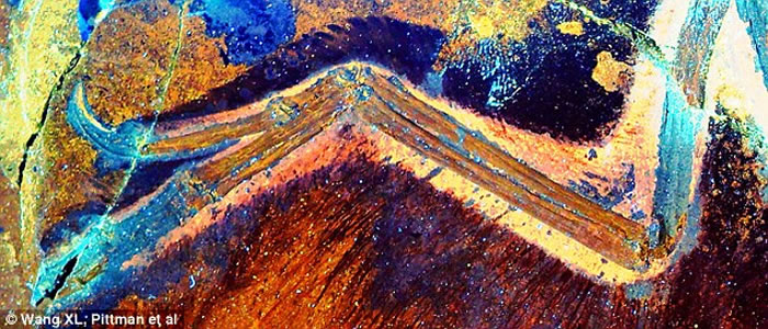 ������ѧ�������¼���׼ȷ���ܿ����������� ��������ò�״�չ��