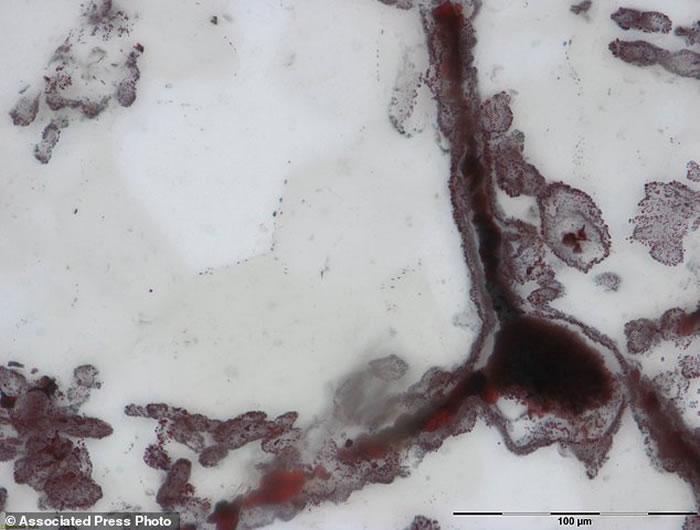 ���ô�����˷�����������ϻ�ʯ ���Լ42����