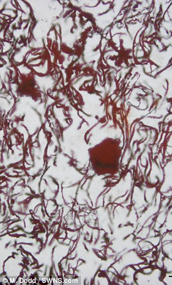 ���ô�����˷�����������ϻ�ʯ ���Լ42����