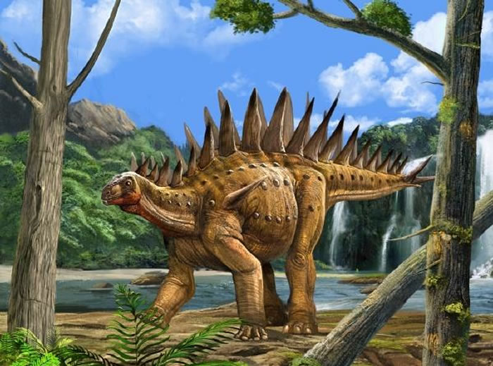 太白华阳龙(图片来源:赵闯)