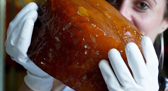 ����˹���������ձ����������ֺ�����Ѫ����