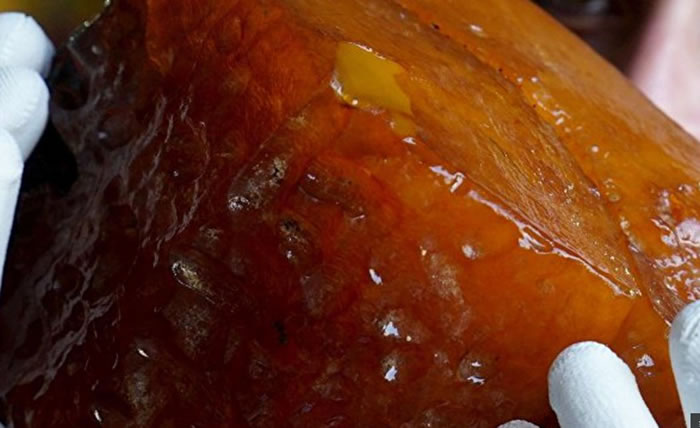 ����˹���������ձ����������ֺ�����Ѫ����