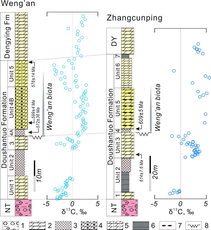 �����Ͱ��ͺ�������ƺ�������Ͽ���ϵ��ɽ�����ۺϵز�Ա�