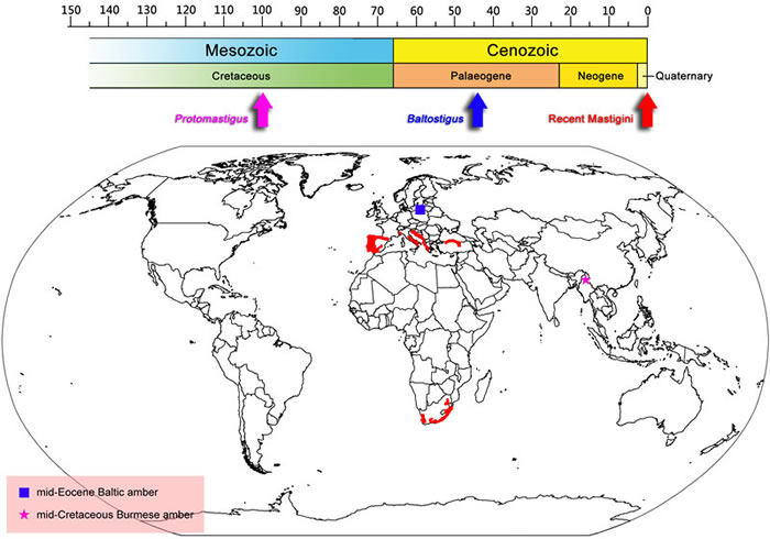 �����̦����ĵ����ֲ�ͼ