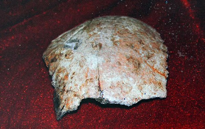 �������ˡ�ͷ�Ƕ��ǻ�ʯ