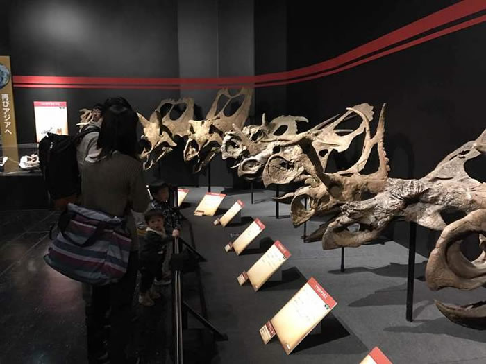 չ���ֳ����㽭��Ȼ����ݸ��ݳ��������ṩ