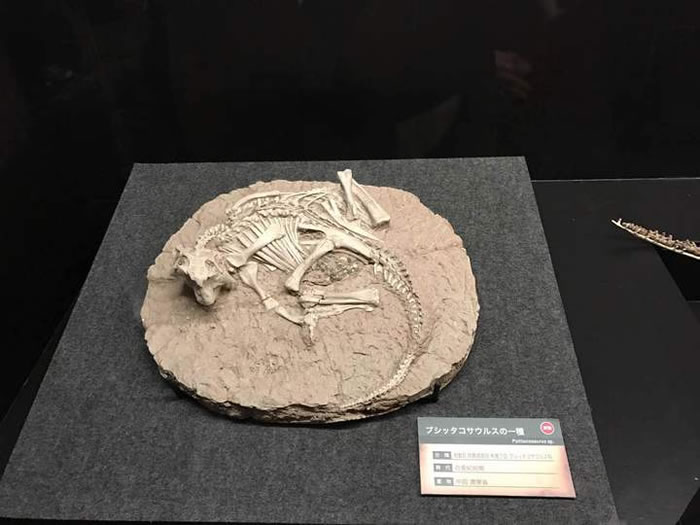 �㽭��Ȼ�����չƷ�����������������ṩ