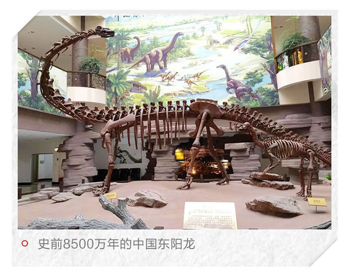 �й���������һ�����㽭���������Ŀ���